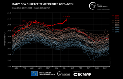 1979 年 1 月 1 日から 2023 年 7 月 23 日までの各年の時系列としてプロットされた、南緯 60 度～北緯 60 度の領域にわたる毎日の世界の海面温度 (°C) の平均値