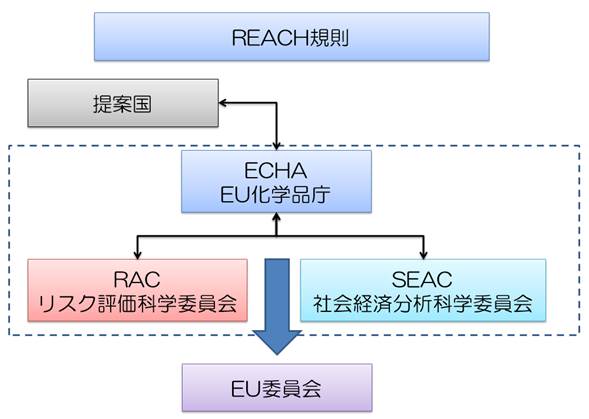 REACH規則への規制提案と協議フロー概念（筆者作成）